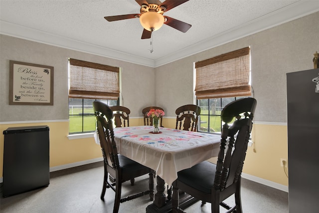 dining space featuring ornamental molding, a healthy amount of sunlight, and a textured ceiling