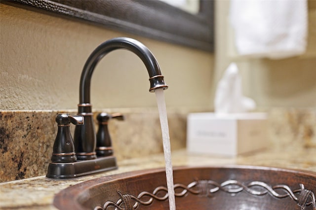 interior details featuring sink