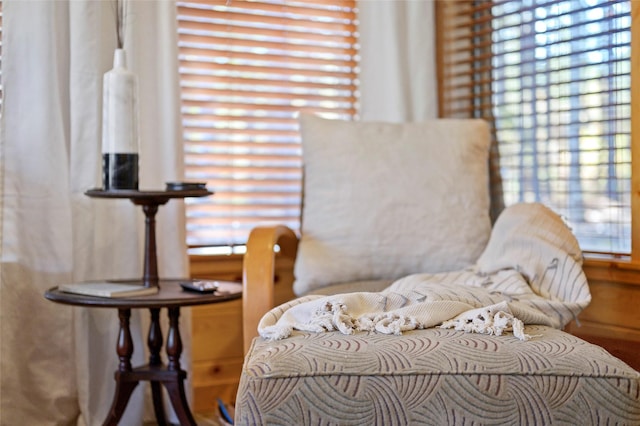 living area featuring a wealth of natural light