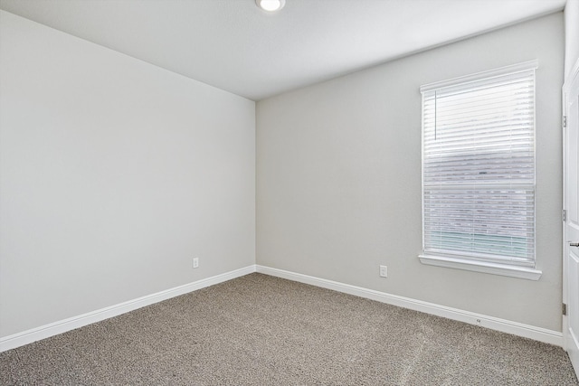 carpeted empty room featuring a wealth of natural light