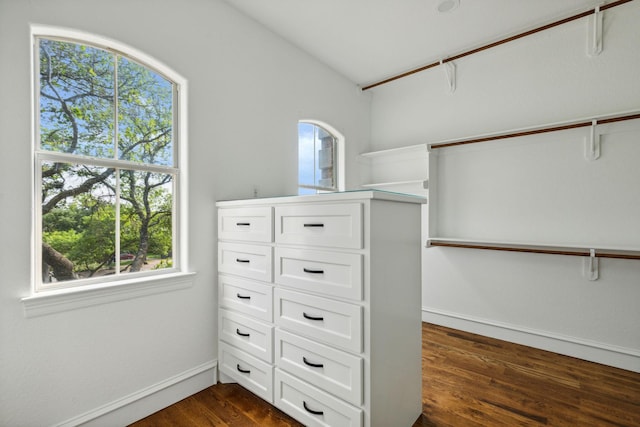 spacious closet featuring lofted ceiling and dark hardwood / wood-style floors