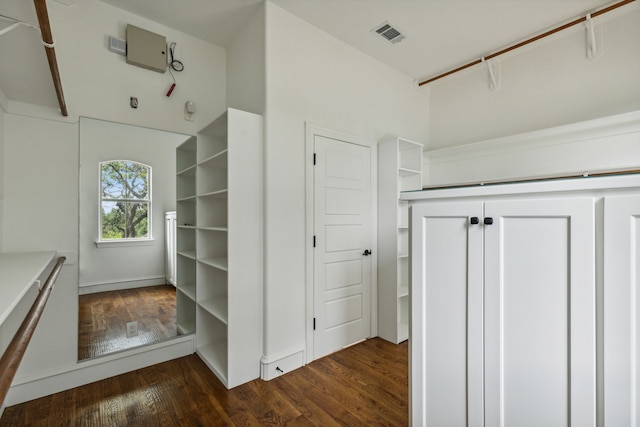 walk in closet with dark hardwood / wood-style floors