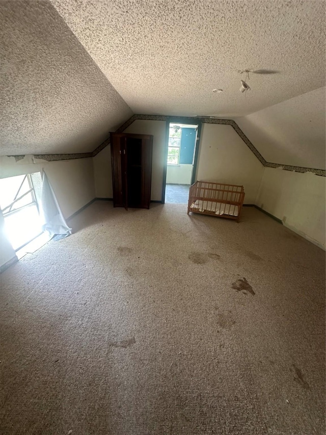 bonus room featuring a textured ceiling, carpet floors, and lofted ceiling