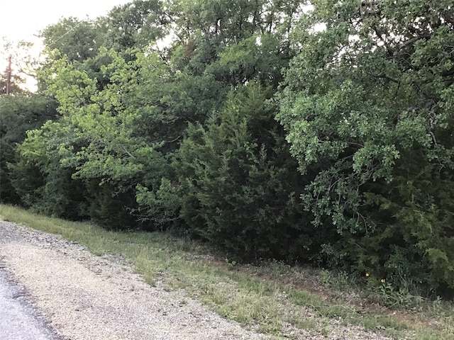 44021 Fringewood Dr, Whitney TX, 76692 land for sale