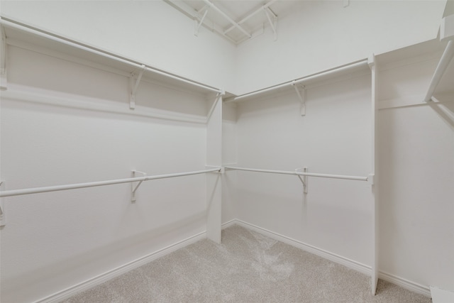 unfurnished room with crown molding, carpet floors, and ceiling fan