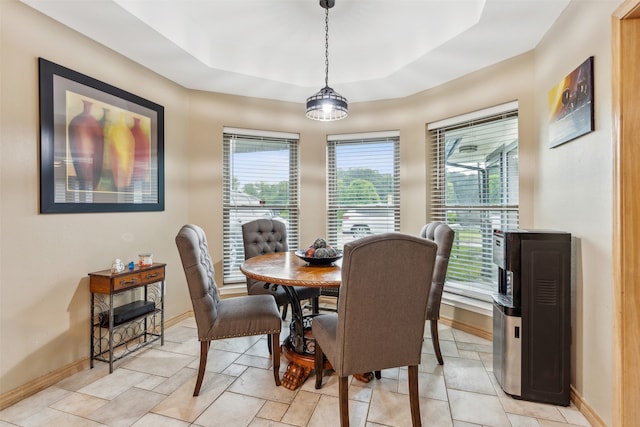 dining room with a tray ceiling and a wealth of natural light