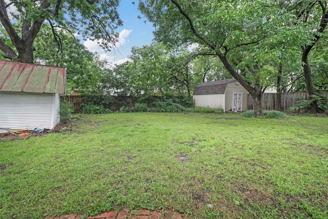 view of yard with a storage shed