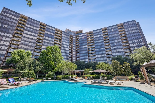 view of swimming pool featuring a patio area