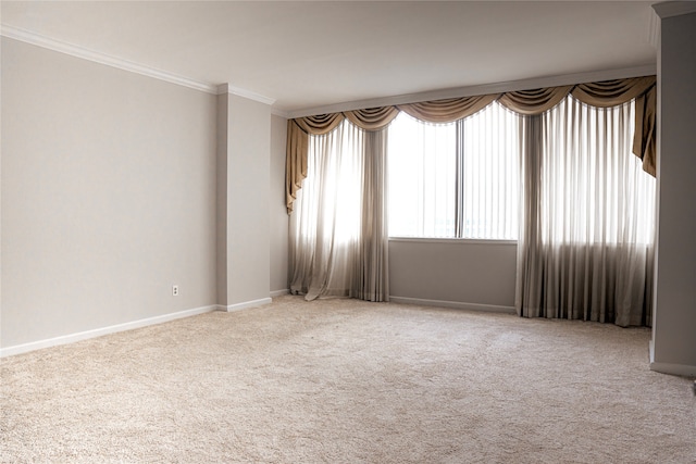 spare room featuring light carpet and ornamental molding