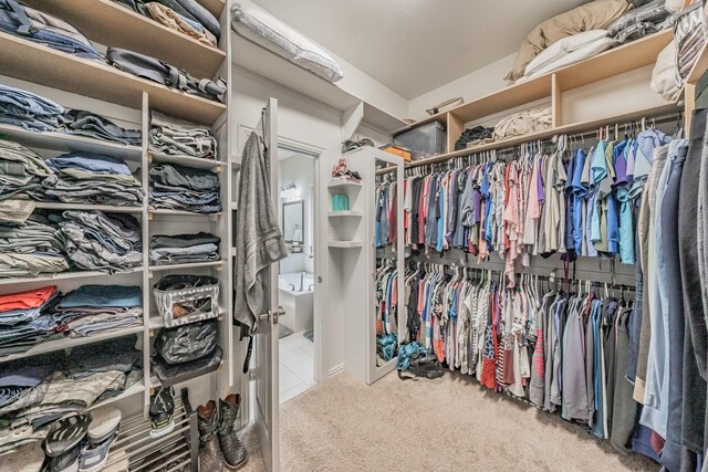 spacious closet with carpet floors