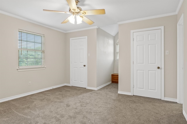 unfurnished bedroom featuring crown molding, carpet, and ceiling fan