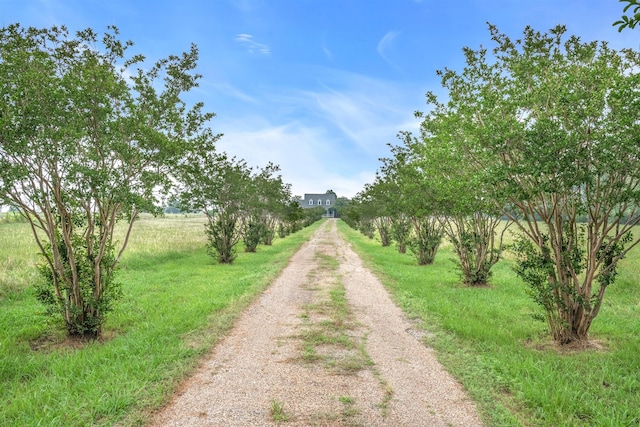 view of road with a rural view