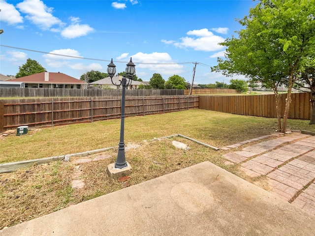 view of yard featuring a patio area