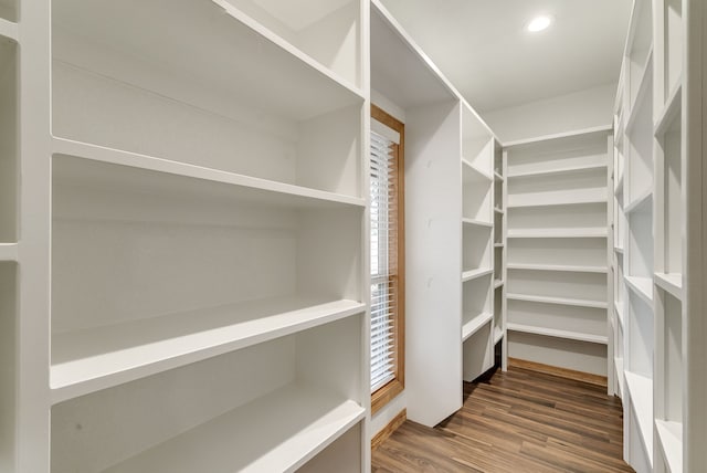 walk in closet with dark hardwood / wood-style floors