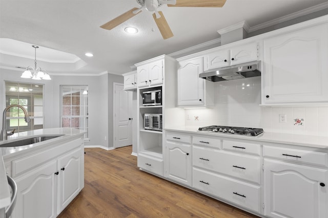 419 State Highway 205th Ext, Rockwall, TX 75032 - kitchen with under cabinet range hood, appliances with stainless steel finishes, a ceiling fan, crown molding, and tasteful backsplash