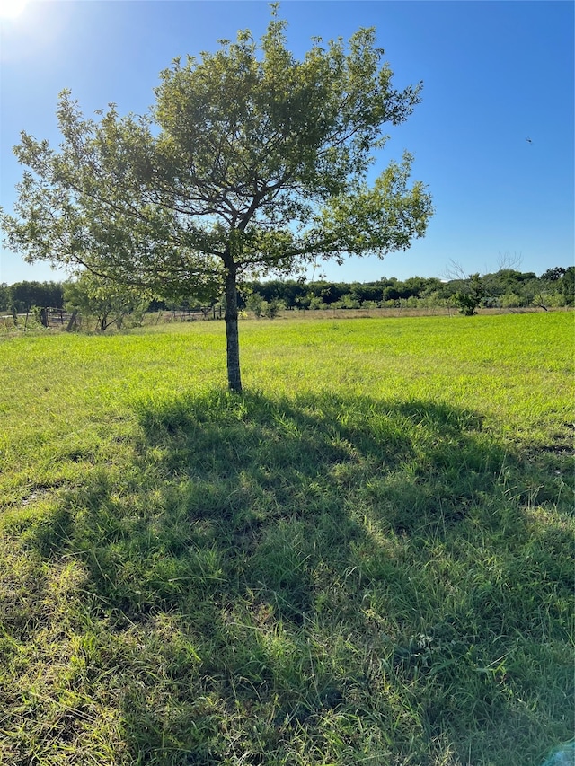 view of yard with a rural view