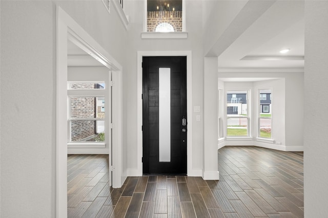 foyer with a high ceiling and dark wood-type flooring