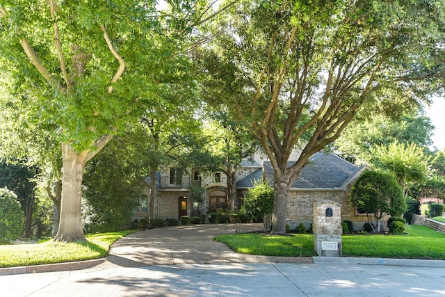 obstructed view of property with a front yard