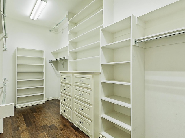 walk in closet featuring dark hardwood / wood-style flooring