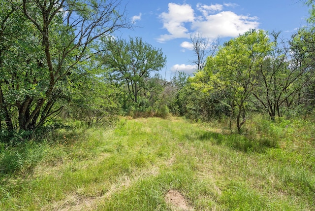 TBD Boswell Court, Lipan TX, 76462 land for sale