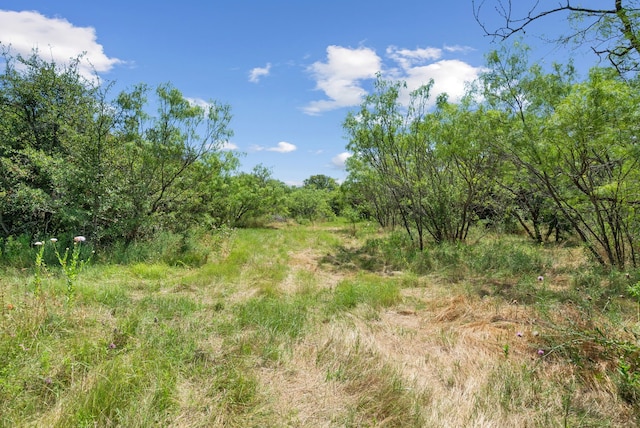 Listing photo 2 for TBD Boswell Court, Lipan TX 76462