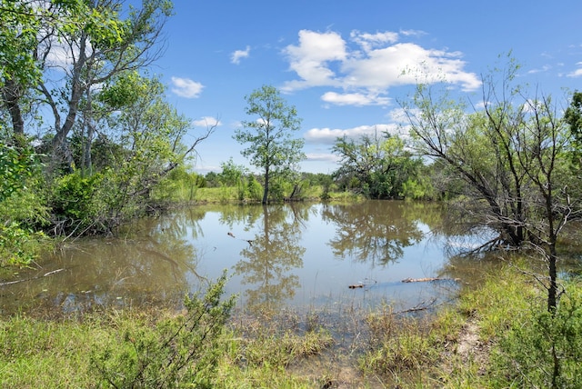 Listing photo 3 for TBD Boswell Court, Lipan TX 76462