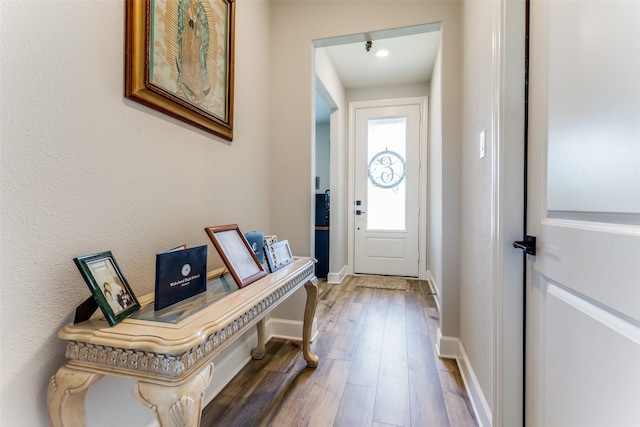 entryway with hardwood / wood-style floors