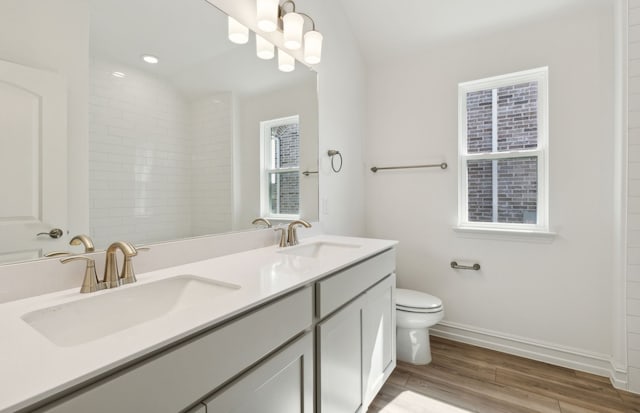 bathroom featuring toilet, vanity, a healthy amount of sunlight, and hardwood / wood-style flooring