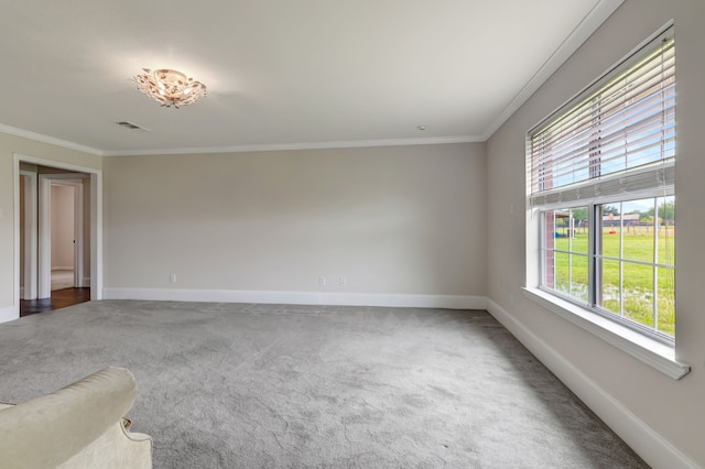 carpeted spare room featuring ornamental molding