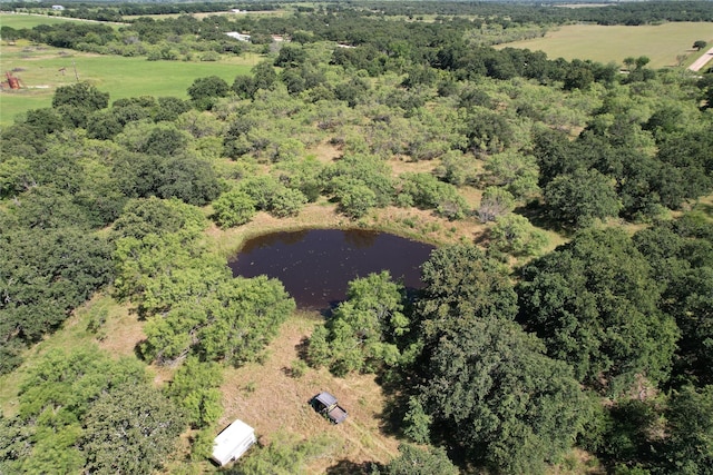 Listing photo 3 for TBD County Road 323, Gorman TX 76454