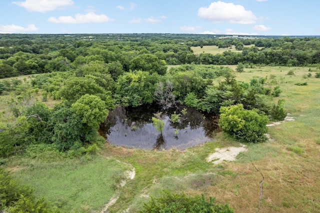 Listing photo 3 for 207 Possom Trot Hollow Rd, Whitewright TX 75491