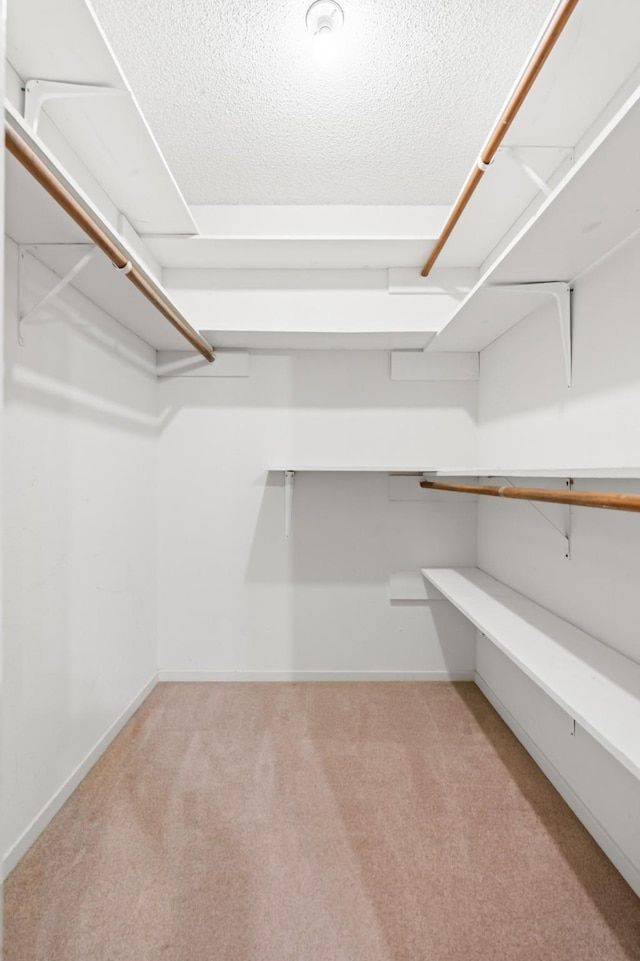 spacious closet featuring light carpet