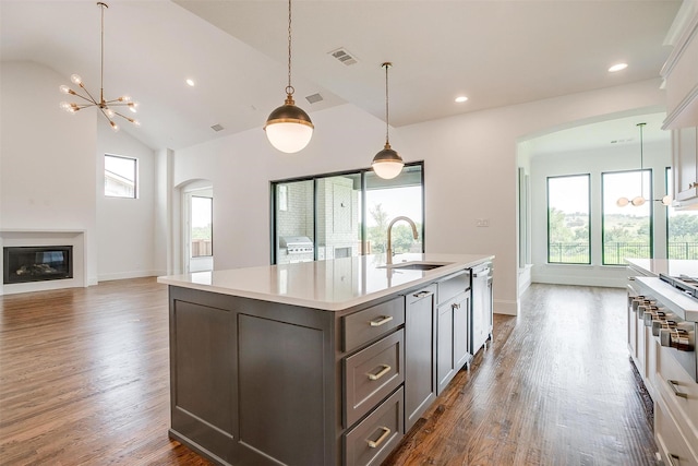 kitchen with lofted ceiling, plenty of natural light, dark wood-type flooring, and sink