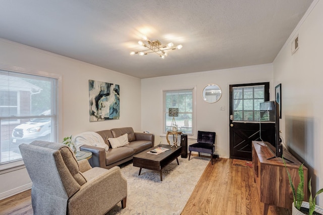 living room with a chandelier, a textured ceiling, light wood-type flooring, and ornamental molding