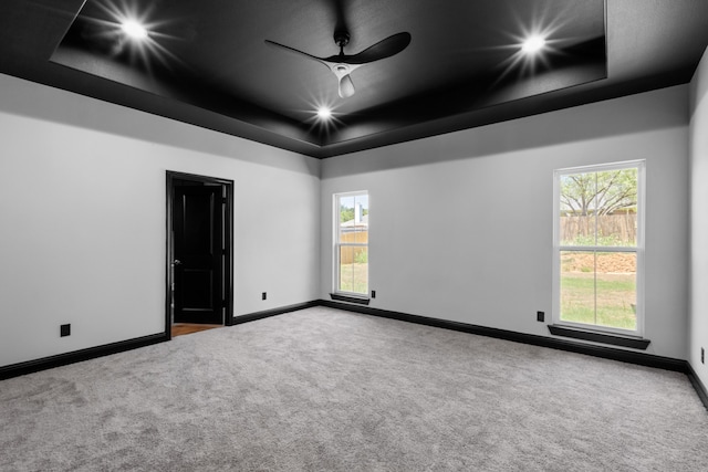 carpeted empty room with plenty of natural light and a tray ceiling