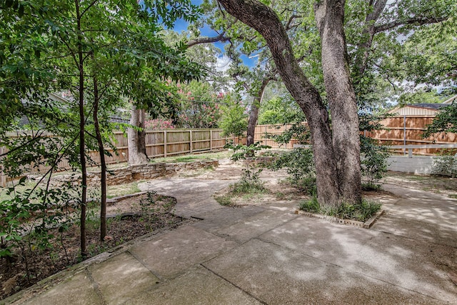 view of yard with a patio area