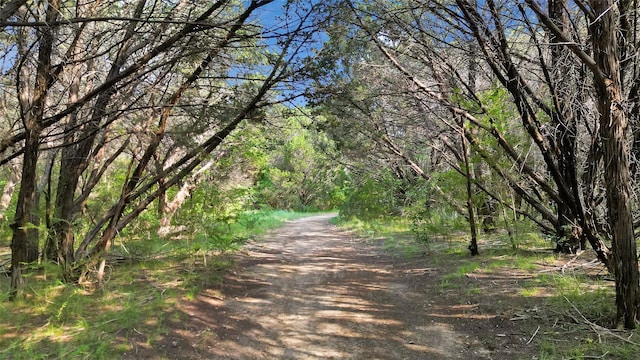 view of road