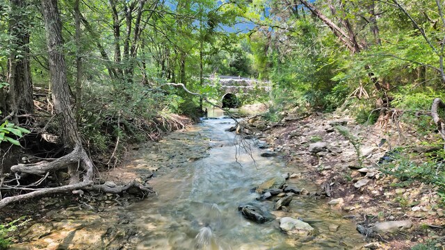 view of local wilderness