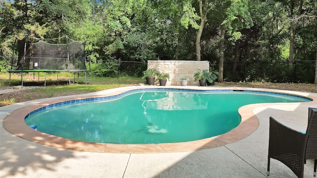 view of swimming pool with a trampoline