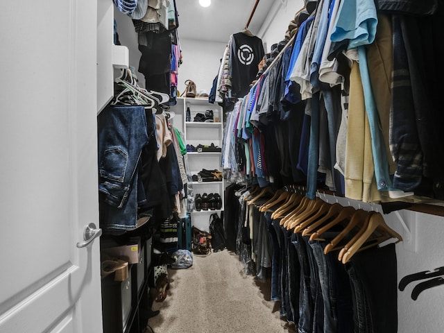 view of walk in closet