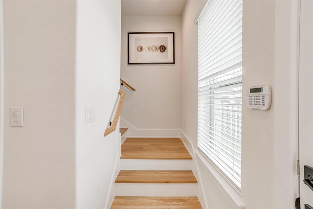 stairs with hardwood / wood-style flooring