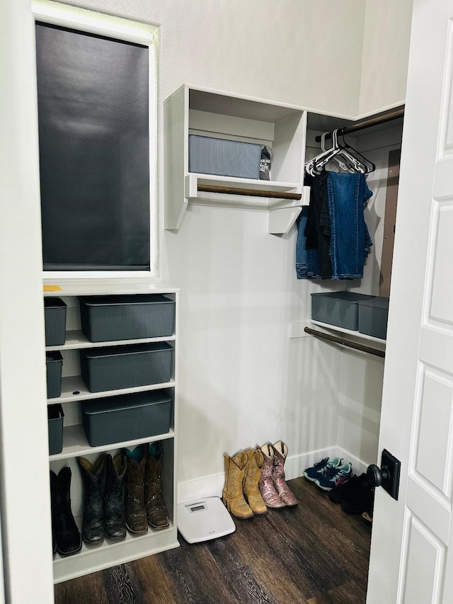 walk in closet with dark hardwood / wood-style flooring