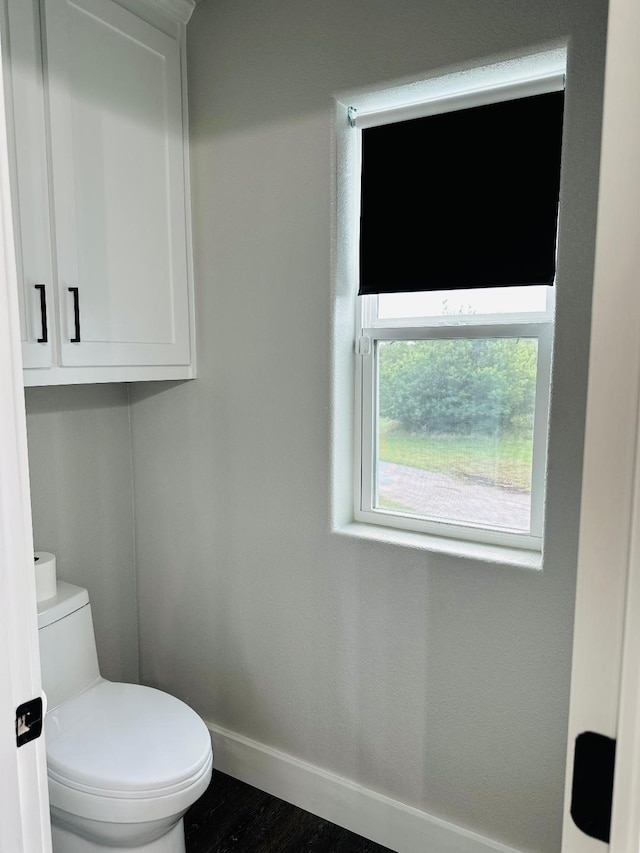 bathroom with wood-type flooring and toilet