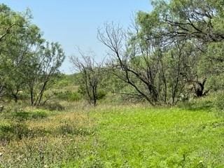 791 County Road 135, Ballinger, TX 76882