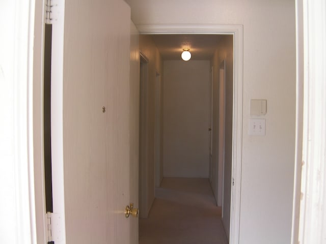 hall featuring carpet flooring