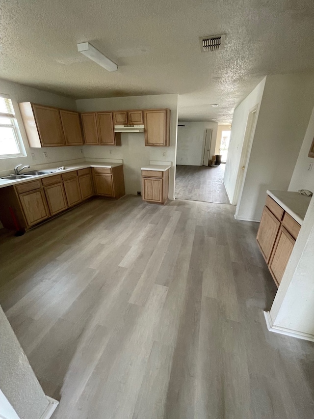 kitchen with sink, a textured ceiling, and light hardwood / wood-style floors