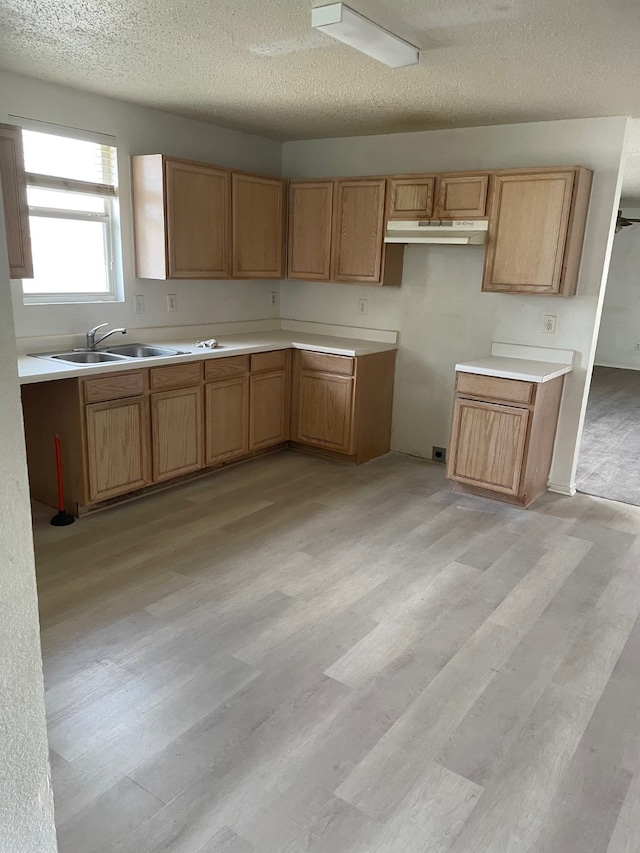 kitchen featuring light hardwood / wood-style flooring, sink, and a textured ceiling