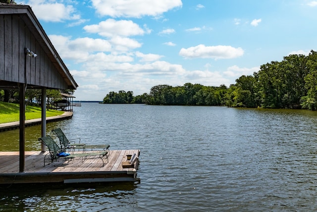 dock area with a water view