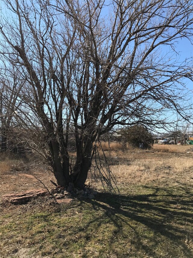 view of local wilderness