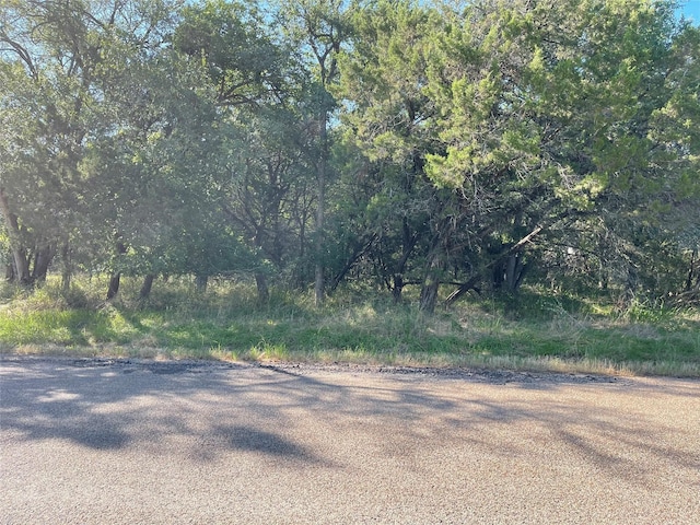 TBD County Road 1527 U1, Morgan TX, 76671 land for sale